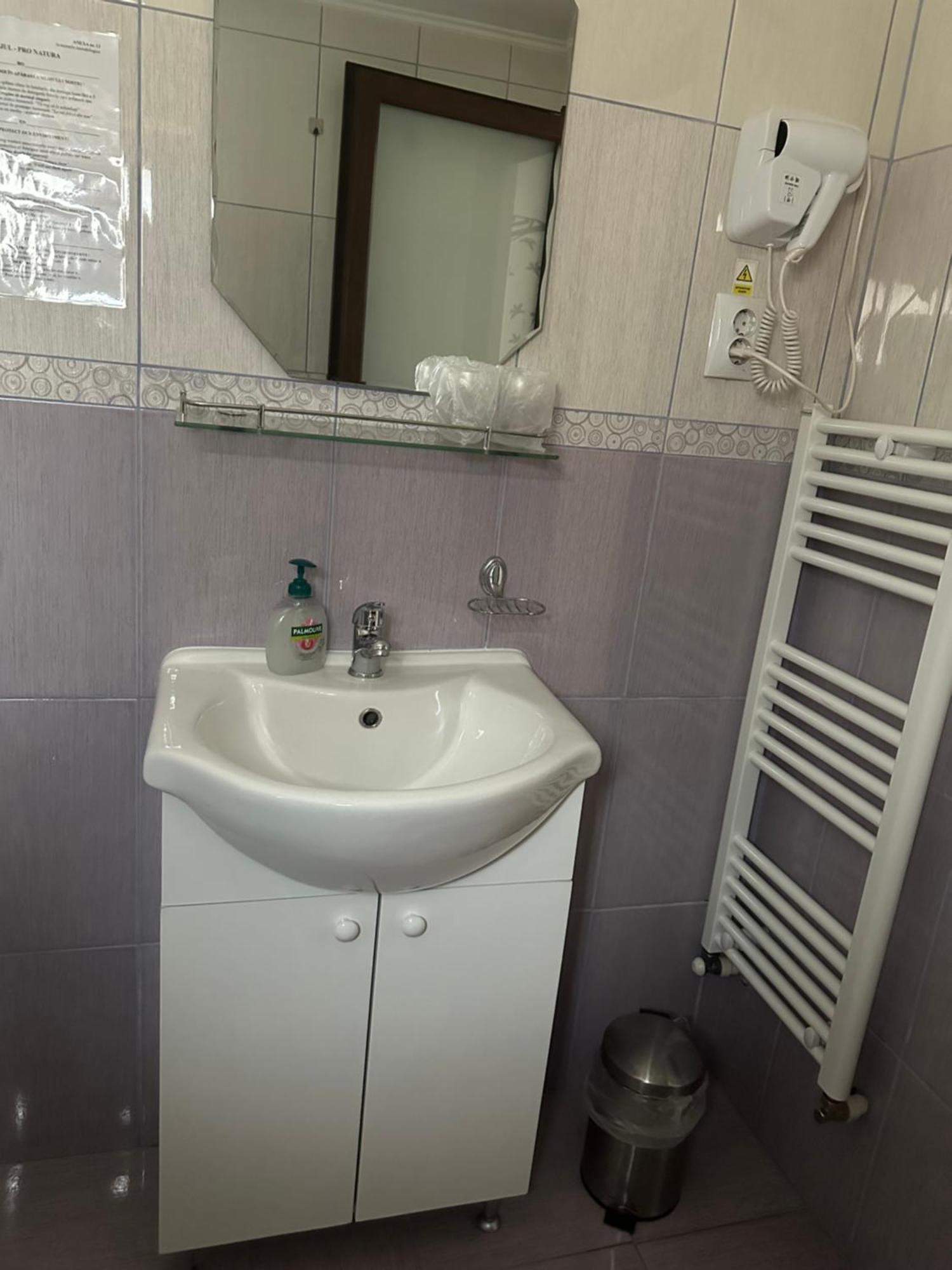 Lunca Lui Dan Hotel Войняса Екстериор снимка