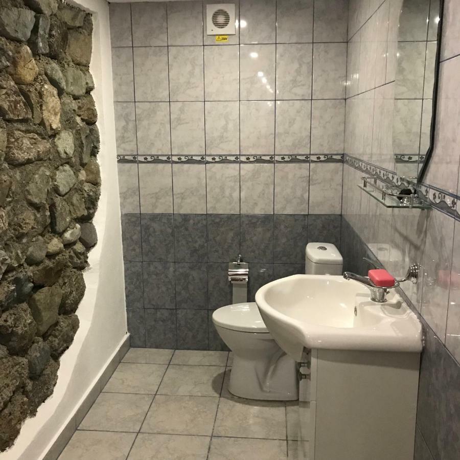 Lunca Lui Dan Hotel Войняса Екстериор снимка